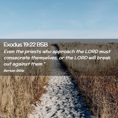 Picture 02 - Exodus 19:22 BSB - Even the priests who approach the LORD must - Bible Verse Picture