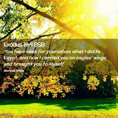 Picture 02 - Exodus 19:4 BSB - ‘You have seen for yourselves what I did to - Bible Verse Picture