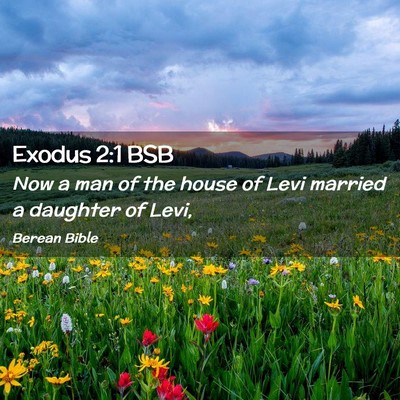 Picture 02 - Exodus 2:1 BSB - Now a man of the house of Levi married a daughter - Bible Verse Picture