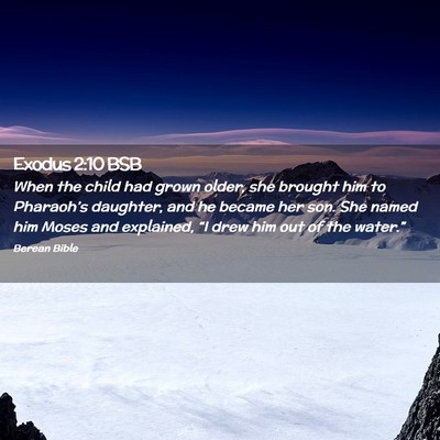 Picture 02 - Exodus 2:10 BSB - When the child had grown older, she brought him - Bible Verse Picture