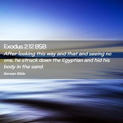 Picture 02 - Exodus 2:12 BSB - After looking this way and that and seeing no - Bible Verse Picture
