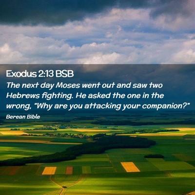 Picture 02 - Exodus 2:13 BSB - The next day Moses went out and saw two Hebrews - Bible Verse Picture
