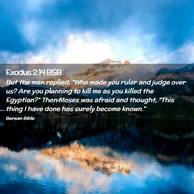 Picture 02 - Exodus 2:14 BSB - But the man replied, “Who made you ruler and - Bible Verse Picture