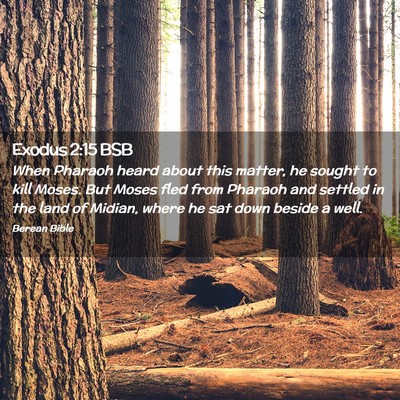 Picture 02 - Exodus 2:15 BSB - When Pharaoh heard about this matter, he sought - Bible Verse Picture