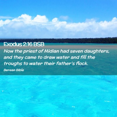 Picture 02 - Exodus 2:16 BSB - Now the priest of Midian had seven daughters, and - Bible Verse Picture