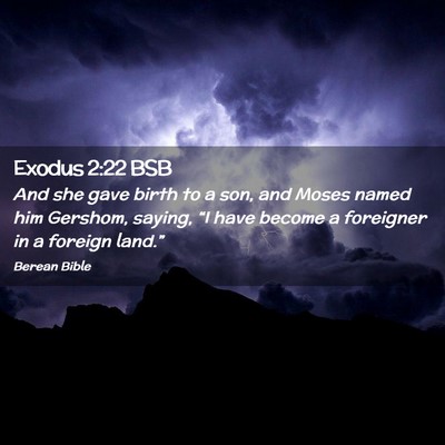 Picture 02 - Exodus 2:22 BSB - And she gave birth to a son, and Moses named him - Bible Verse Picture