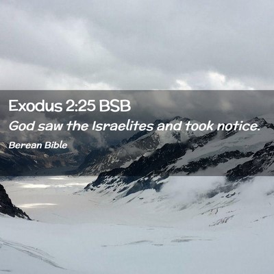 Picture 02 - Exodus 2:25 BSB - God saw the Israelites and took - Bible Verse Picture