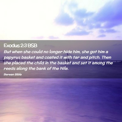 Picture 02 - Exodus 2:3 BSB - But when she could no longer hide him, she got - Bible Verse Picture