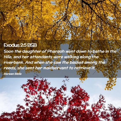 Picture 02 - Exodus 2:5 BSB - Soon the daughter of Pharaoh went down to bathe - Bible Verse Picture