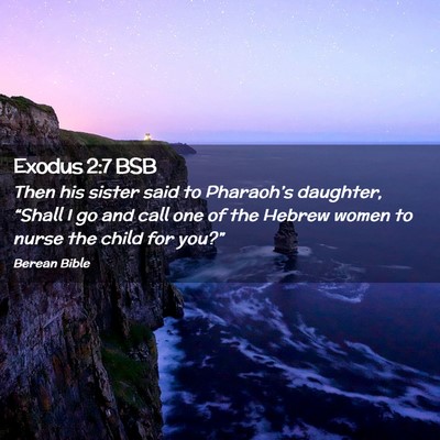 Picture 02 - Exodus 2:7 BSB - Then his sister said to Pharaoh’s daughter, - Bible Verse Picture