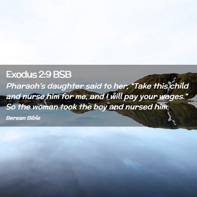 Picture 02 - Exodus 2:9 BSB - Pharaoh’s daughter said to her, “Take this - Bible Verse Picture
