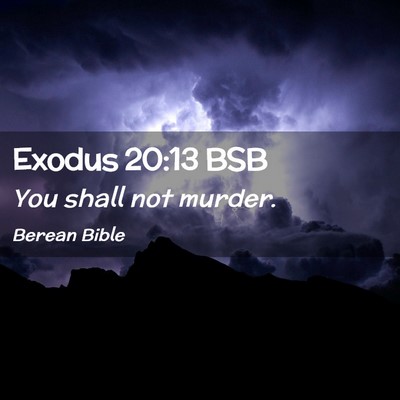 Picture 02 - Exodus 20:13 BSB - You shall not - Bible Verse Picture