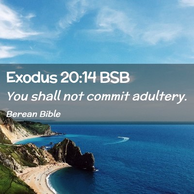 Picture 02 - Exodus 20:14 BSB - You shall not commit - Bible Verse Picture