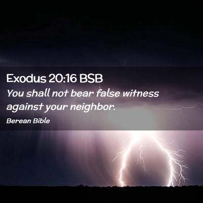 Picture 02 - Exodus 20:16 BSB - You shall not bear false witness against your - Bible Verse Picture