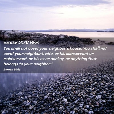 Picture 02 - Exodus 20:17 BSB - You shall not covet your neighbor’s house. You - Bible Verse Picture