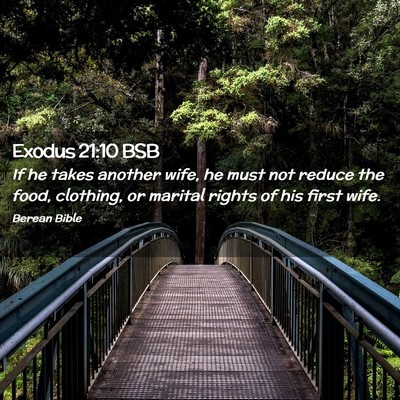 Picture 02 - Exodus 21:10 BSB - If he takes another wife, he must not reduce the - Bible Verse Picture