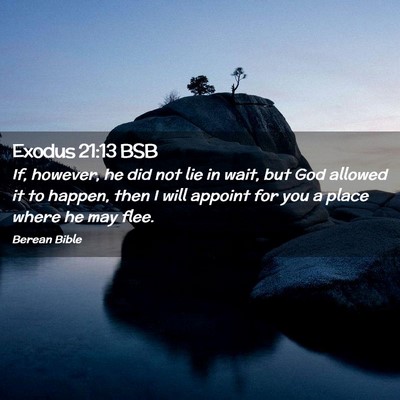 Picture 02 - Exodus 21:13 BSB - If, however, he did not lie in wait, but God - Bible Verse Picture