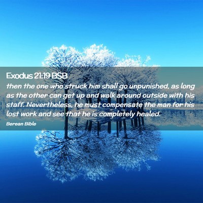 Picture 02 - Exodus 21:19 BSB - then the one who struck him shall go unpunished, - Bible Verse Picture