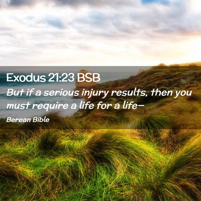 Picture 02 - Exodus 21:23 BSB - But if a serious injury results, then you must - Bible Verse Picture