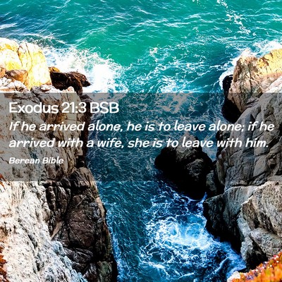 Picture 02 - Exodus 21:3 BSB - If he arrived alone, he is to leave alone; if he - Bible Verse Picture