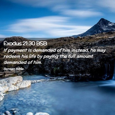 Picture 02 - Exodus 21:30 BSB - If payment is demanded of him instead, he may - Bible Verse Picture