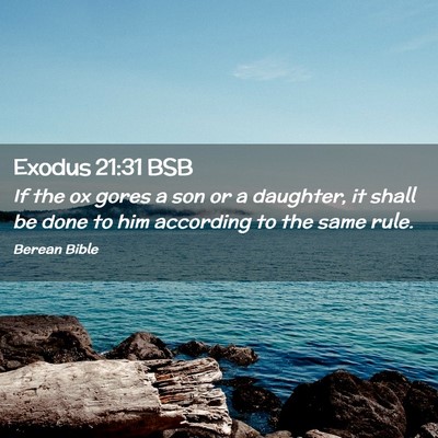 Picture 02 - Exodus 21:31 BSB - If the ox gores a son or a daughter, it shall be - Bible Verse Picture