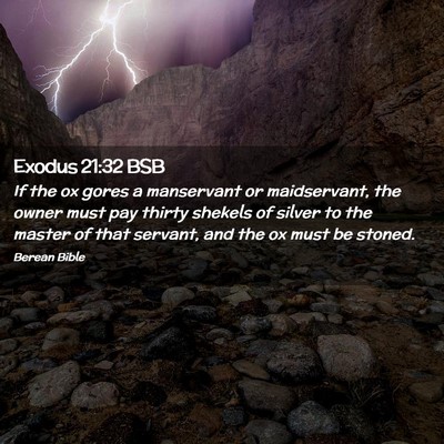 Picture 02 - Exodus 21:32 BSB - If the ox gores a manservant or maidservant, the - Bible Verse Picture