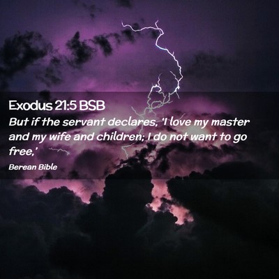 Picture 02 - Exodus 21:5 BSB - But if the servant declares, ‘I love my master - Bible Verse Picture