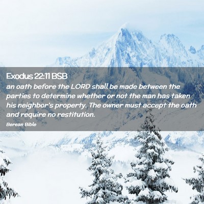 Picture 02 - Exodus 22:11 BSB - an oath before the LORD shall be made between the - Bible Verse Picture