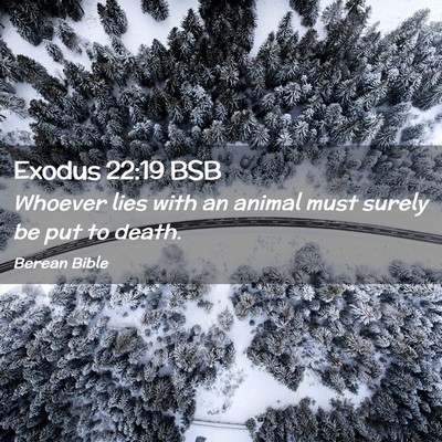 Picture 02 - Exodus 22:19 BSB - Whoever lies with an animal must surely be put to - Bible Verse Picture