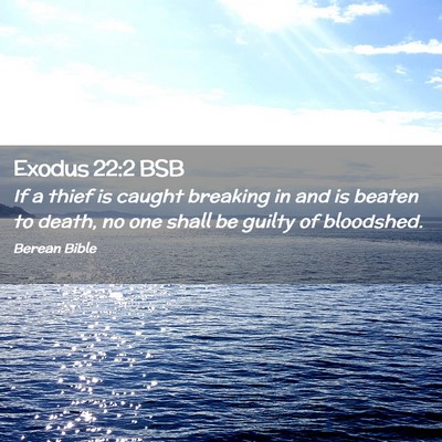 Picture 02 - Exodus 22:2 BSB - If a thief is caught breaking in and is beaten to - Bible Verse Picture