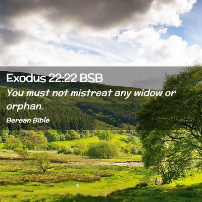 Picture 02 - Exodus 22:22 BSB - You must not mistreat any widow or - Bible Verse Picture
