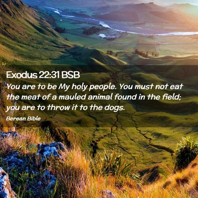Picture 02 - Exodus 22:31 BSB - You are to be My holy people. You must not eat - Bible Verse Picture