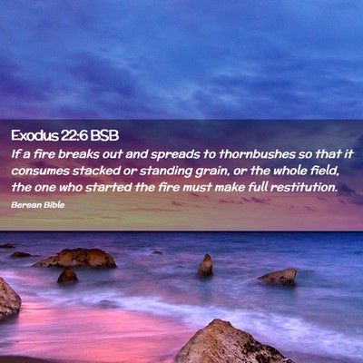 Picture 02 - Exodus 22:6 BSB - If a fire breaks out and spreads to thornbushes - Bible Verse Picture