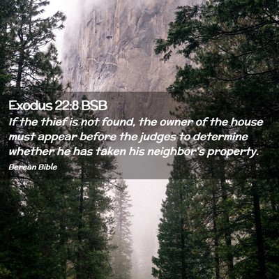 Picture 02 - Exodus 22:8 BSB - If the thief is not found, the owner of the house - Bible Verse Picture