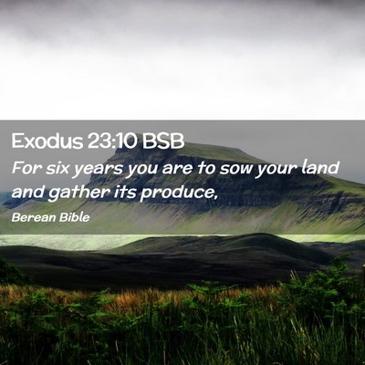 Picture 02 - Exodus 23:10 BSB - For six years you are to sow your land and gather - Bible Verse Picture