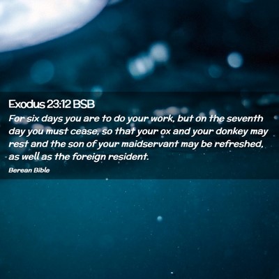 Picture 02 - Exodus 23:12 BSB - For six days you are to do your work, but on the - Bible Verse Picture