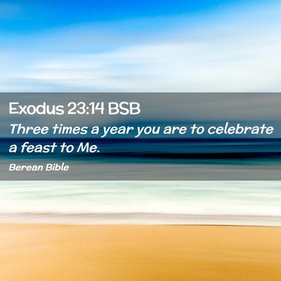Picture 02 - Exodus 23:14 BSB - Three times a year you are to celebrate a feast - Bible Verse Picture