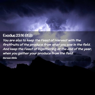 Picture 02 - Exodus 23:16 BSB - You are also to keep the Feast of Harvest with - Bible Verse Picture