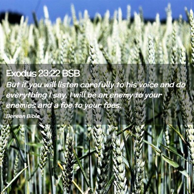 Picture 02 - Exodus 23:22 BSB - But if you will listen carefully to his voice and - Bible Verse Picture