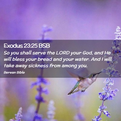 Picture 02 - Exodus 23:25 BSB - So you shall serve the LORD your God, and He will - Bible Verse Picture