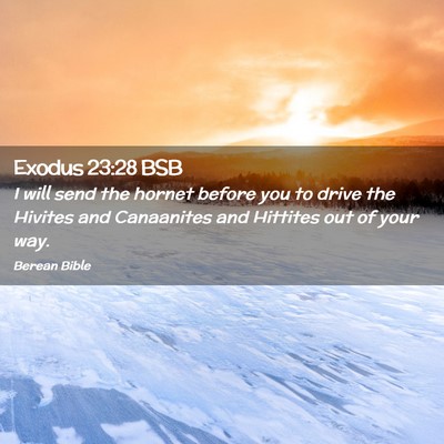 Picture 02 - Exodus 23:28 BSB - I will send the hornet before you to drive the - Bible Verse Picture