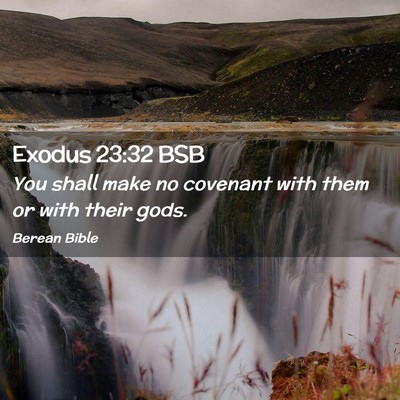 Picture 02 - Exodus 23:32 BSB - You shall make no covenant with them or with - Bible Verse Picture