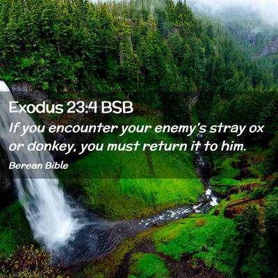 Picture 02 - Exodus 23:4 BSB - If you encounter your enemy’s stray ox or - Bible Verse Picture
