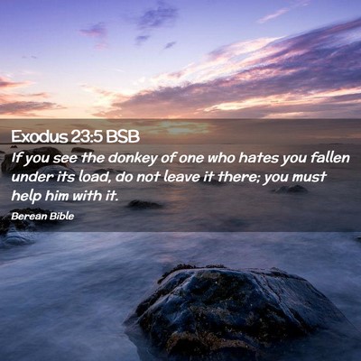 Picture 02 - Exodus 23:5 BSB - If you see the donkey of one who hates you fallen - Bible Verse Picture