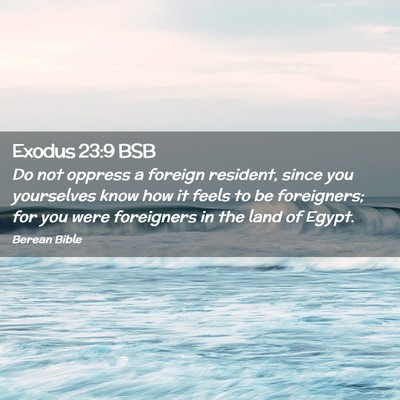 Picture 02 - Exodus 23:9 BSB - Do not oppress a foreign resident, since you - Bible Verse Picture