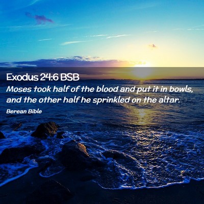 Picture 02 - Exodus 24:6 BSB - Moses took half of the blood and put it in bowls, - Bible Verse Picture