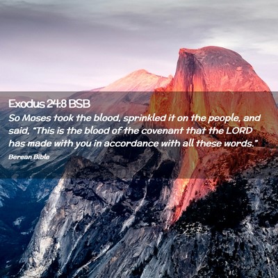 Picture 02 - Exodus 24:8 BSB - So Moses took the blood, sprinkled it on the - Bible Verse Picture