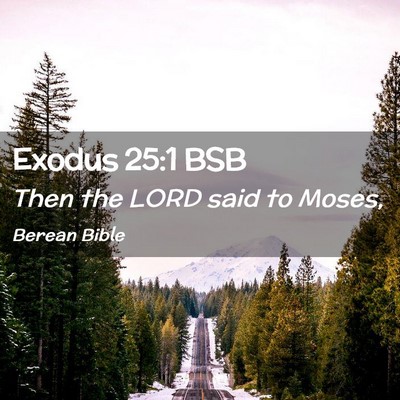 Picture 02 - Exodus 25:1 BSB - Then the LORD said to - Bible Verse Picture