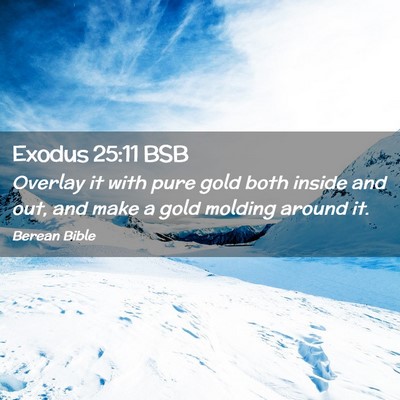 Picture 02 - Exodus 25:11 BSB - Overlay it with pure gold both inside and out, - Bible Verse Picture
